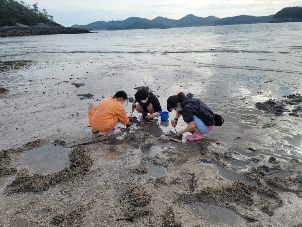 갯벌체험하기
