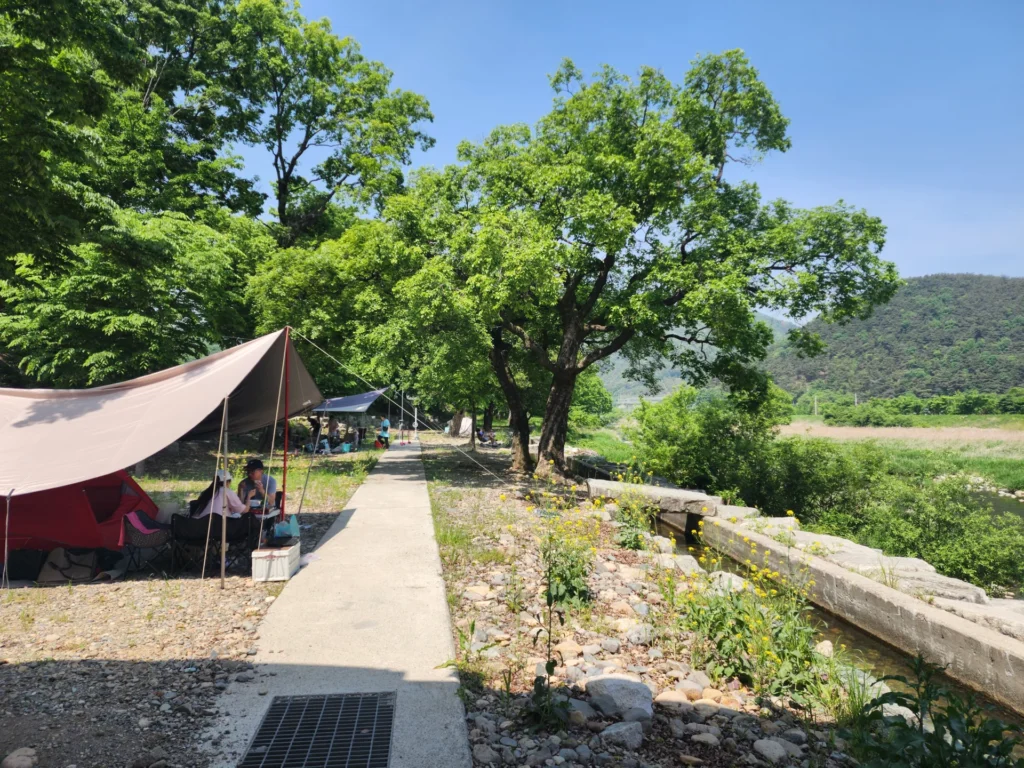 경남 밀양 계곡 추천 단장숲유원지 당일치기 물놀이 좋은곳! - 20240428_110440-밀양단장숲-012