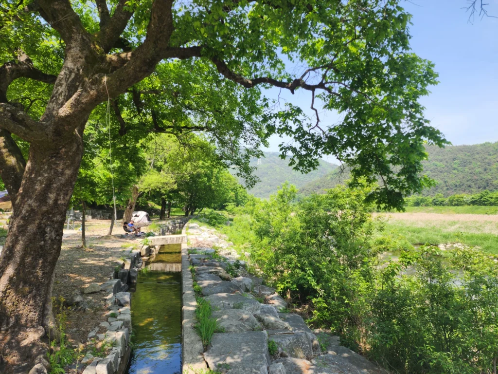 경남 밀양 계곡 추천 단장숲유원지 당일치기 물놀이 좋은곳! - 20240428_110510-밀양단장숲-018