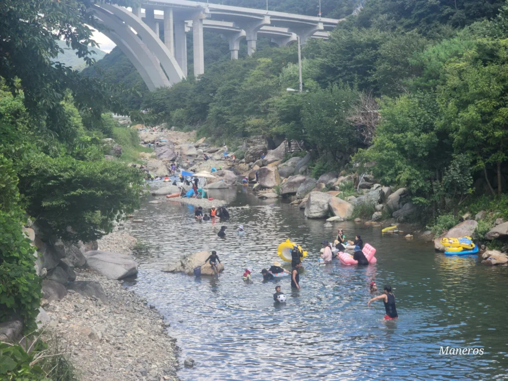 밀양 베네치아 편션 평상 대여 방법은 어떻게 되나요? - 20240815_122119-밀양베네치아-018